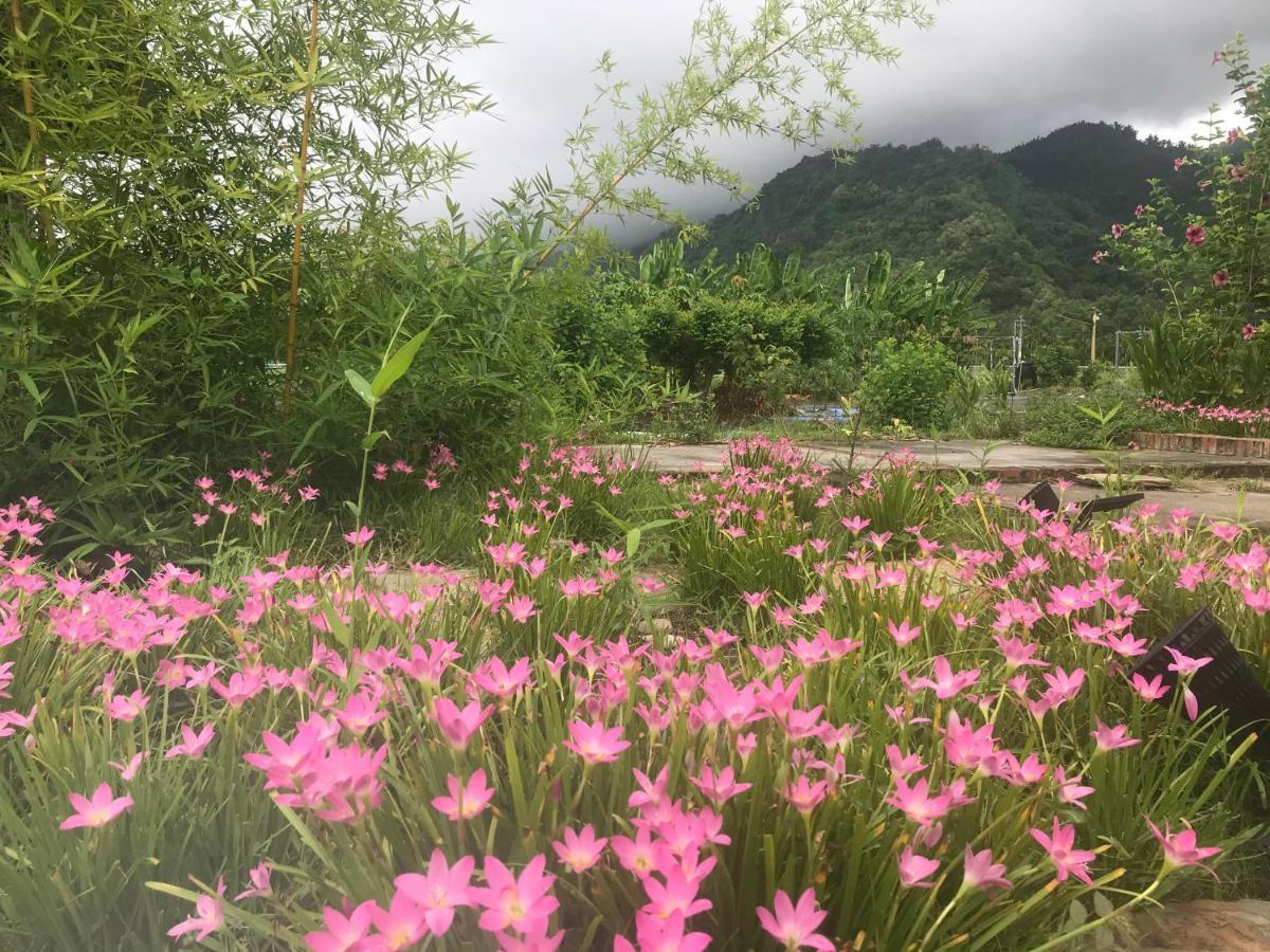 香蕉與黑膠 Yellow And Black Guest House Mei-nung 외부 사진